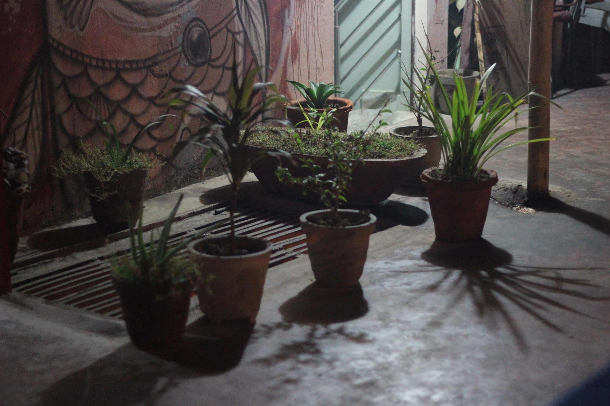 Pyrenees Homestay Agra  Bagian luar foto